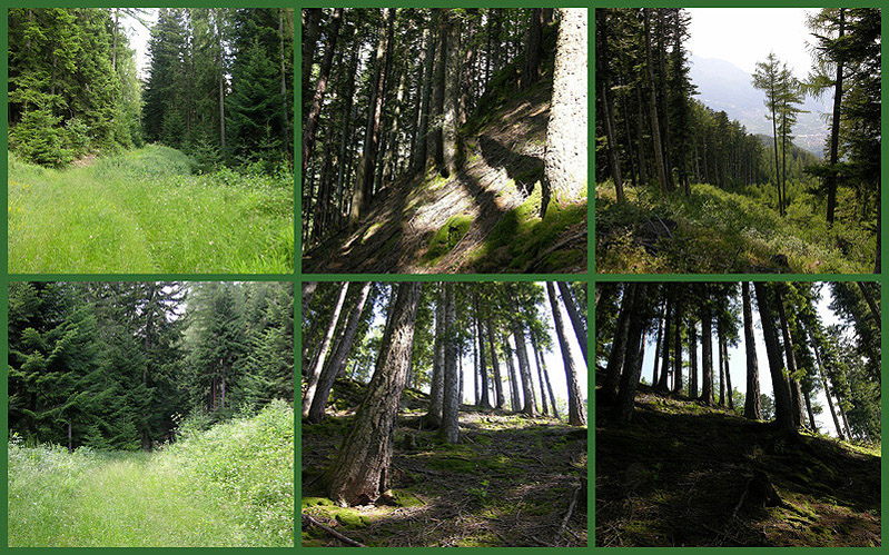 Ritrovamenti 03/07/2009